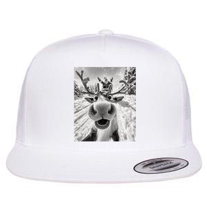 Funny Reindeer Selfie Christmas Flat Bill Trucker Hat