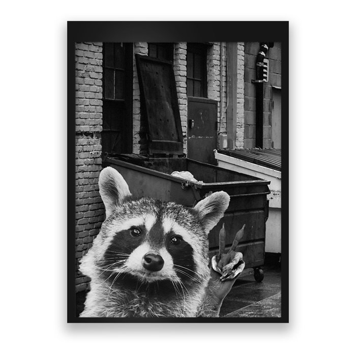 Funny Raccoon Selfie Raccoon Funny Raccoon Poster