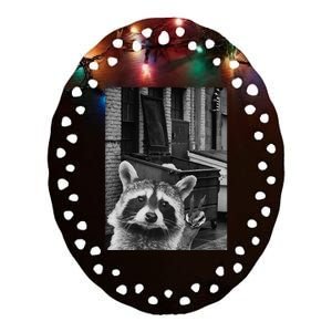 Funny Raccoon Selfie Raccoon Funny Raccoon Ceramic Oval Ornament