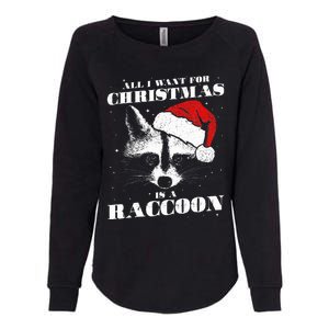 Funny Raccoon Santa All I want for Christmas is a Raccoon Womens California Wash Sweatshirt