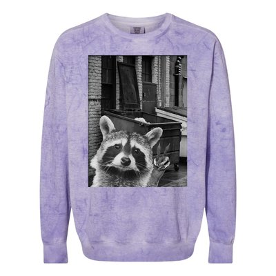 Funny Raccoon Selfie Colorblast Crewneck Sweatshirt