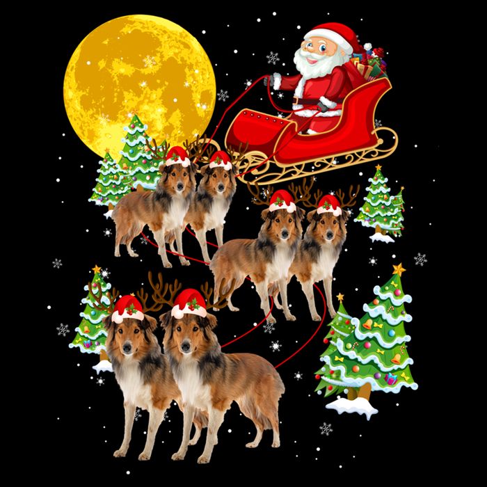 Funny Reindeer Sheltie Dogs With Santa Sleigh Xmas Holiday Funny Gift Impact Tech Backpack