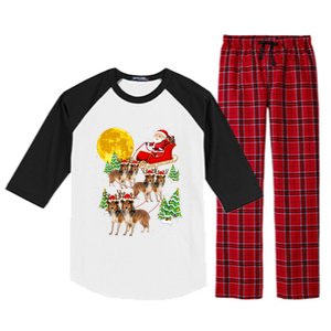 Funny Reindeer Sheltie Dogs With Santa Sleigh Xmas Holiday Funny Gift Raglan Sleeve Pajama Set