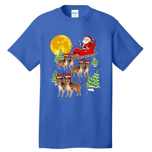 Funny Reindeer Sheltie Dogs With Santa Sleigh Xmas Holiday Funny Gift Tall T-Shirt