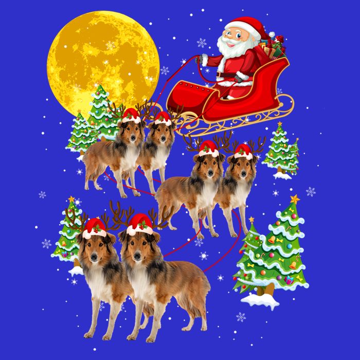 Funny Reindeer Sheltie Dogs With Santa Sleigh Xmas Holiday Funny Gift V-Neck T-Shirt