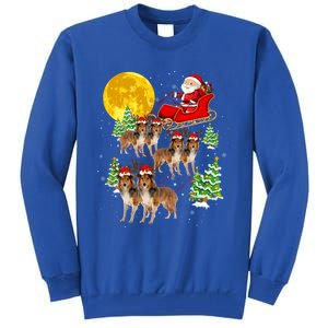 Funny Reindeer Sheltie Dogs With Santa Sleigh Xmas Holiday Funny Gift Tall Sweatshirt