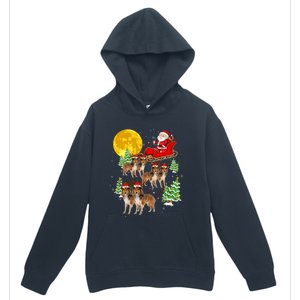 Funny Reindeer Sheltie Dogs With Santa Sleigh Xmas Holiday Funny Gift Urban Pullover Hoodie