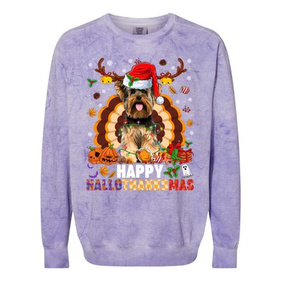 Funny Reindeer Santa Turkey Yorkie Dog Happy Hallothanksmas Gift Colorblast Crewneck Sweatshirt