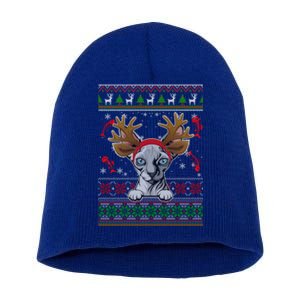 Funny Reindeer Sphynx Cat Xmas Lights Ugly Christmas Sweater Gift Short Acrylic Beanie