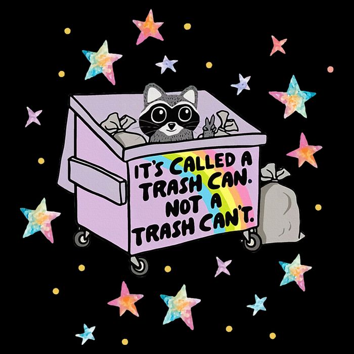 Funny Raccoon Trash Can Not Trash CanT Racoon Lover Gifts Toddler Sweatshirt