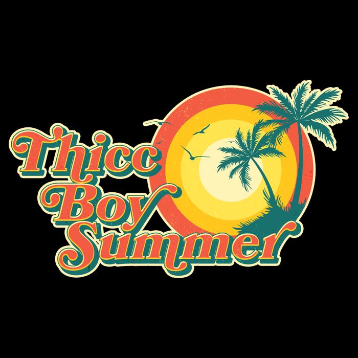 Funny Retro Thicc Boy Summer Premium T-Shirt