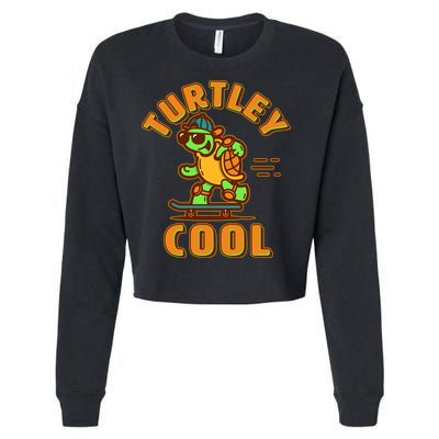 Funny Retro Turtley Cool Skateboarding Turtle Cropped Pullover Crew