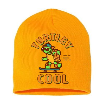 Funny Retro Turtley Cool Skateboarding Turtle Short Acrylic Beanie