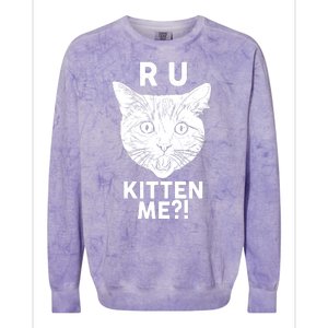 Funny R U Kitten Me Are You Kidding Me Cat Colorblast Crewneck Sweatshirt