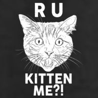 Funny R U Kitten Me Are You Kidding Me Cat 7 Panel Mesh Trucker Snapback Hat