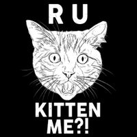 Funny R U Kitten Me Are You Kidding Me Cat Impact Tech Backpack