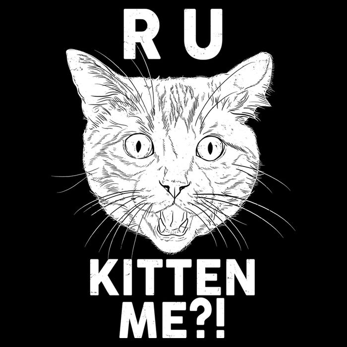 Funny R U Kitten Me Are You Kidding Me Cat Impact Tech Backpack