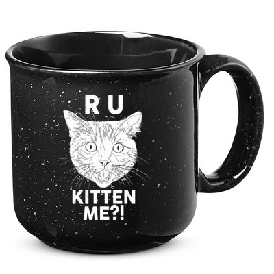Funny R U Kitten Me Are You Kidding Me Cat 15oz Campfire Ceramic Mug