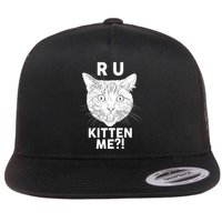 Funny R U Kitten Me Are You Kidding Me Cat Flatbill Hat