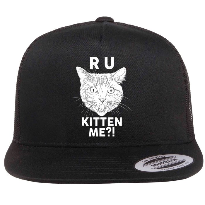 Funny R U Kitten Me Are You Kidding Me Cat Flatbill Hat