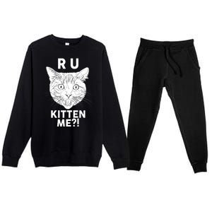 Funny R U Kitten Me Are You Kidding Me Cat Premium Crewneck Sweatsuit Set