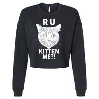 Funny R U Kitten Me Are You Kidding Me Cat Cropped Pullover Crew