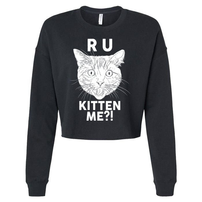 Funny R U Kitten Me Are You Kidding Me Cat Cropped Pullover Crew