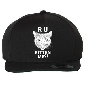 Funny R U Kitten Me Are You Kidding Me Cat Wool Snapback Cap