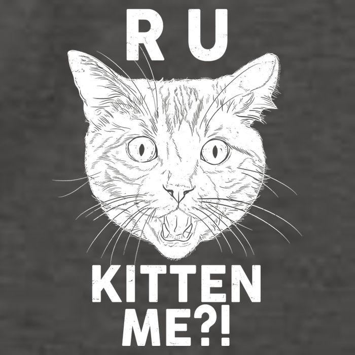 Funny R U Kitten Me Are You Kidding Me Cat Vector Backpack