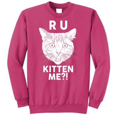 Funny R U Kitten Me Are You Kidding Me Cat Sweatshirt