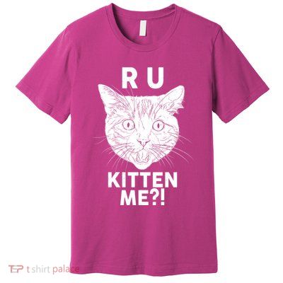 Funny R U Kitten Me Are You Kidding Me Cat Premium T-Shirt