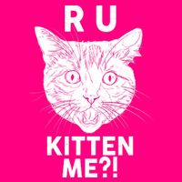 Funny R U Kitten Me Are You Kidding Me Cat Women's V-Neck T-Shirt