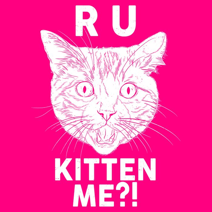 Funny R U Kitten Me Are You Kidding Me Cat Women's V-Neck T-Shirt