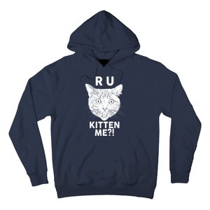 Funny R U Kitten Me Are You Kidding Me Cat Hoodie