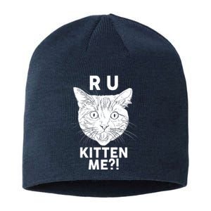 Funny R U Kitten Me Are You Kidding Me Cat Sustainable Beanie