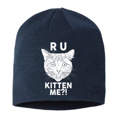 Funny R U Kitten Me Are You Kidding Me Cat Sustainable Beanie