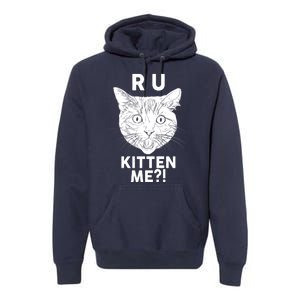 Funny R U Kitten Me Are You Kidding Me Cat Premium Hoodie