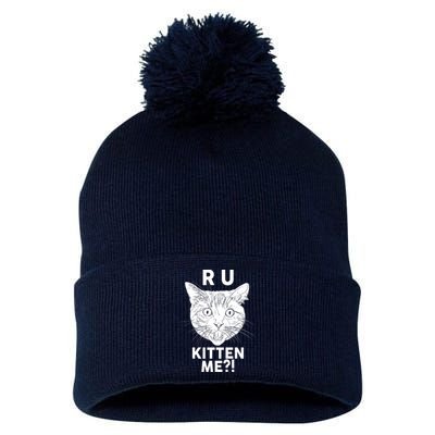 Funny R U Kitten Me Are You Kidding Me Cat Pom Pom 12in Knit Beanie