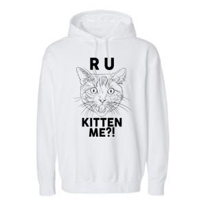 Funny R U Kitten Me Are You Kidding Me Cat Garment-Dyed Fleece Hoodie