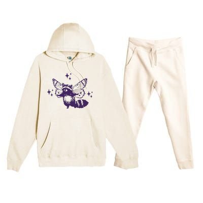 Flying Raccoon With Butterfly Wings Vintage Premium Hooded Sweatsuit Set