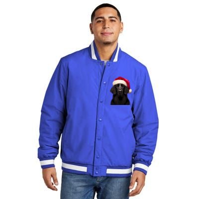 Flatcoated Retriever With Santa Hat Christmas Dog Owner Mom Gift Insulated Varsity Jacket