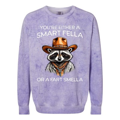 Funny Raccoon YouRe Either A Smart Fella Or A Fart Smella Colorblast Crewneck Sweatshirt