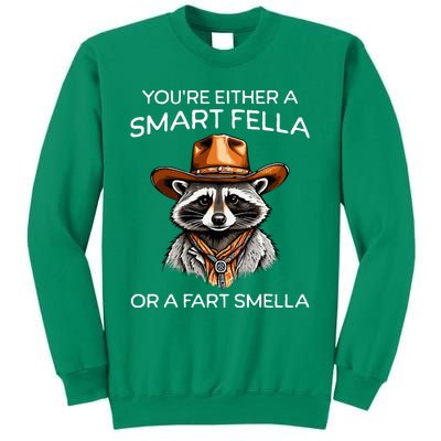 Funny Raccoon YouRe Either A Smart Fella Or A Fart Smella Sweatshirt