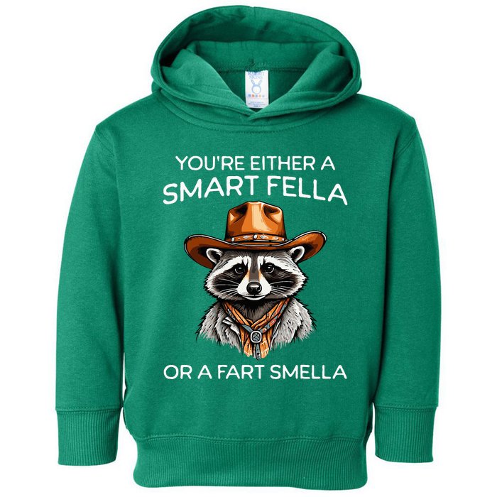 Funny Raccoon YouRe Either A Smart Fella Or A Fart Smella Toddler Hoodie