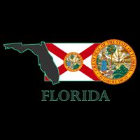 Florida Seal And Flag Flatbill Hat