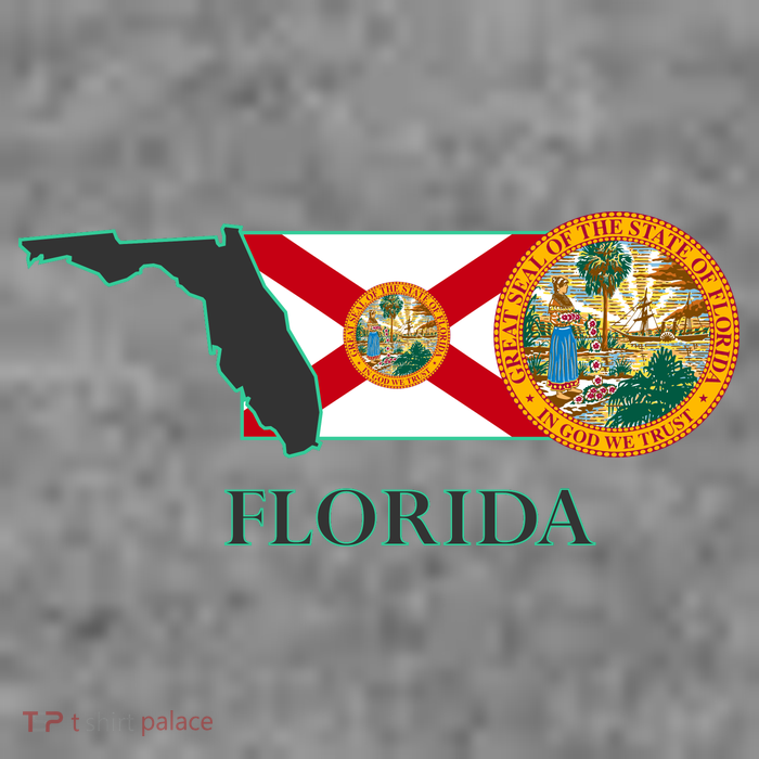 Florida Seal And Flag Wool Snapback Cap