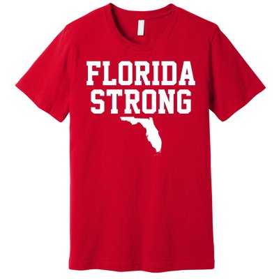 Florida Strong Awareness Hurricane Milton Premium T-Shirt