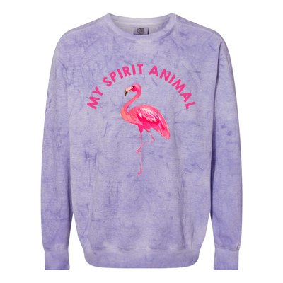 Flamingo Spirit Animal Cute Flamingo Lover Colorblast Crewneck Sweatshirt