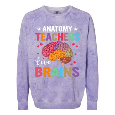 Funny Science Anatomy Teachers Love Brains Anatomy Lover Colorblast Crewneck Sweatshirt