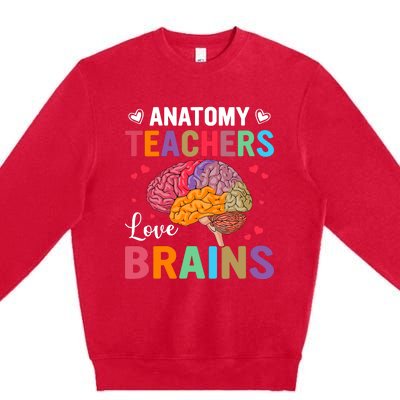 Funny Science Anatomy Teachers Love Brains Anatomy Lover Premium Crewneck Sweatshirt